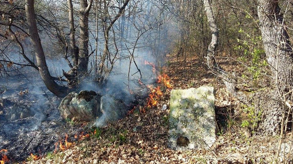 Сигнал до „Актуален глас“: Пожар изстреля огнеборците в Разбоище