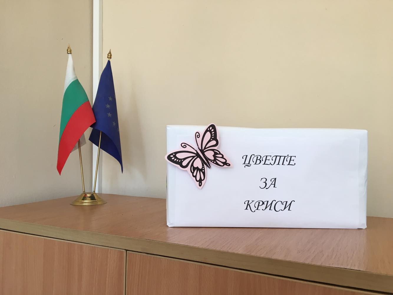 Колко пари събра кампанията „Не купувайте цветя за 15 септември, дарете парите за Кристиян“