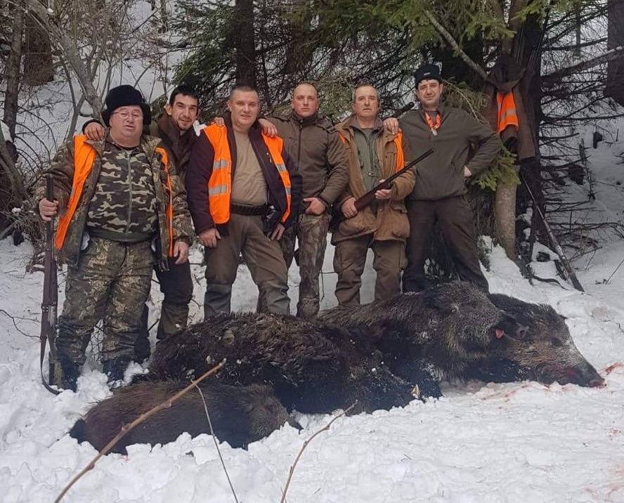 НАСЛУКА: Годечките ловци повалиха десетки диви прасета, думнаха 59 лисици и 56 чакала